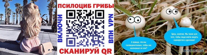 Псилоцибиновые грибы Cubensis  закладка  Юрьев-Польский 